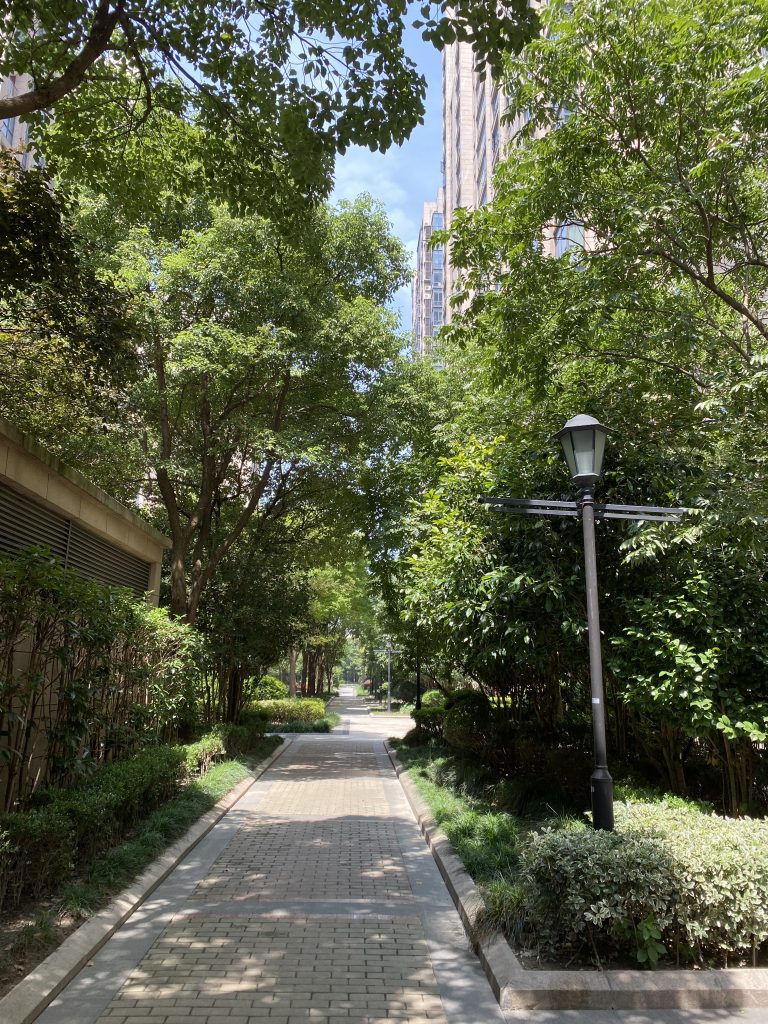 這個夏天有點悶！