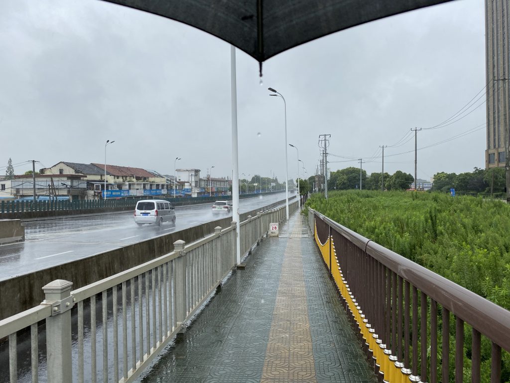 A Mischievous Rain Season